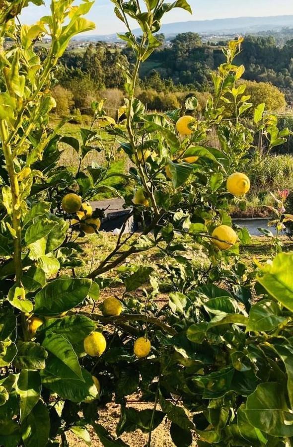 Cecile'S Villa Casal do Pardo المظهر الخارجي الصورة